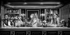 Dogs of Palm Beach