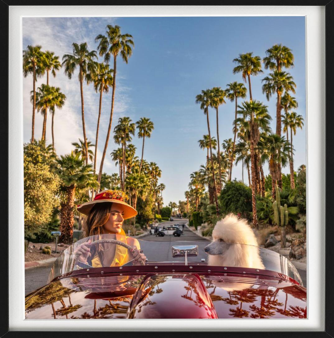 Don't Worry Darling - Supermodel Alessandra Ambrosio en voiture avec chien Palm Springs - Photograph de David Yarrow