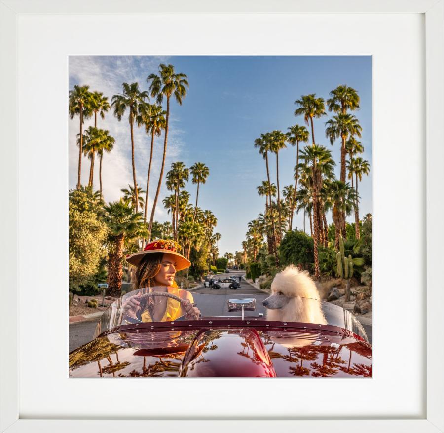Don't Worry Darling - Supermodel Alessandra Ambrosio en voiture avec chien Palm Springs - Contemporain Photograph par David Yarrow