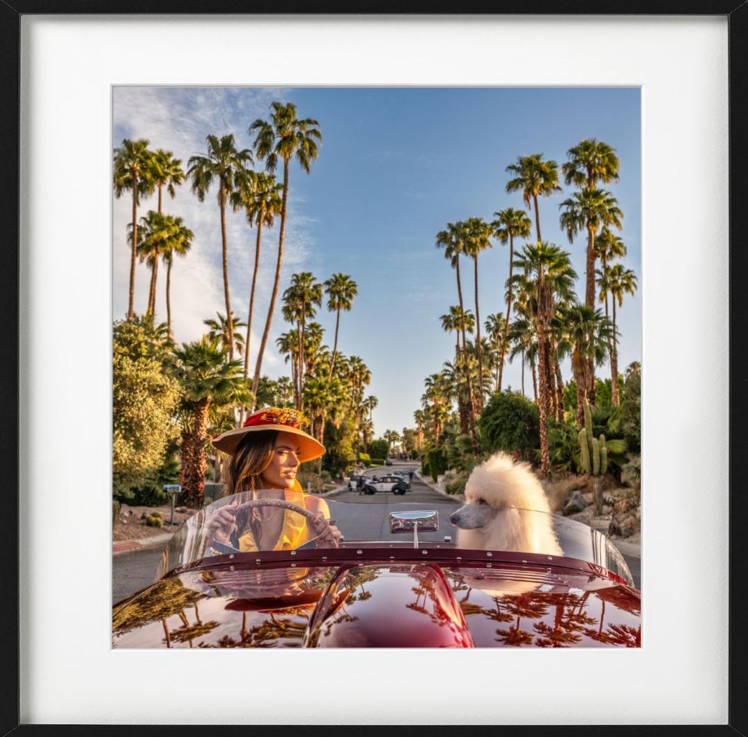 Don't Worry Darling - Supermodel Alessandra Ambrosio en voiture avec chien Palm Springs en vente 1