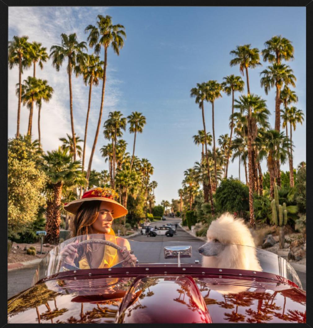 Don't Worry Darling - Supermodel Alessandra Ambrosio en voiture avec chien Palm Springs en vente 3
