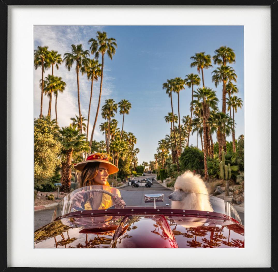 Don't Worry Darling - Supermodel Alessandra Ambrosio en voiture avec chien Palm Springs en vente 4