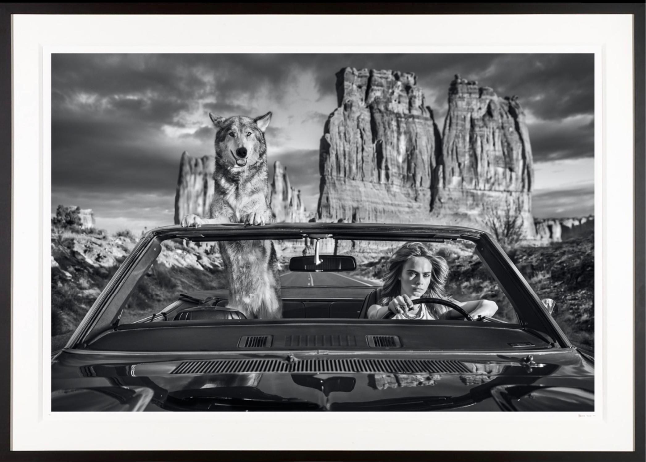 Conducir - Photograph de David Yarrow