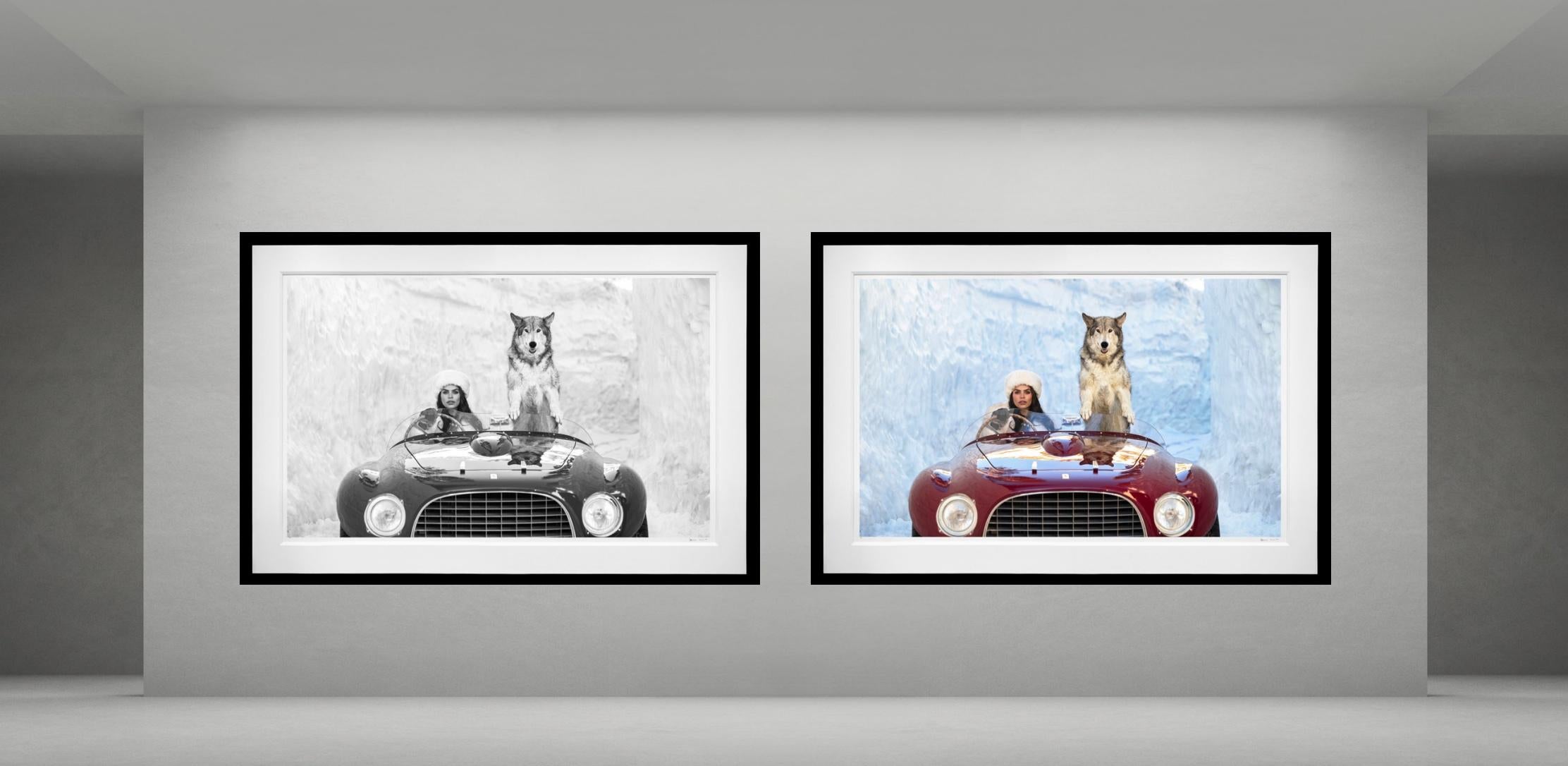 Driving Home for Christmas (Colour) - Ferrari - Wolf - Lake Tahoe - Photograph de David Yarrow