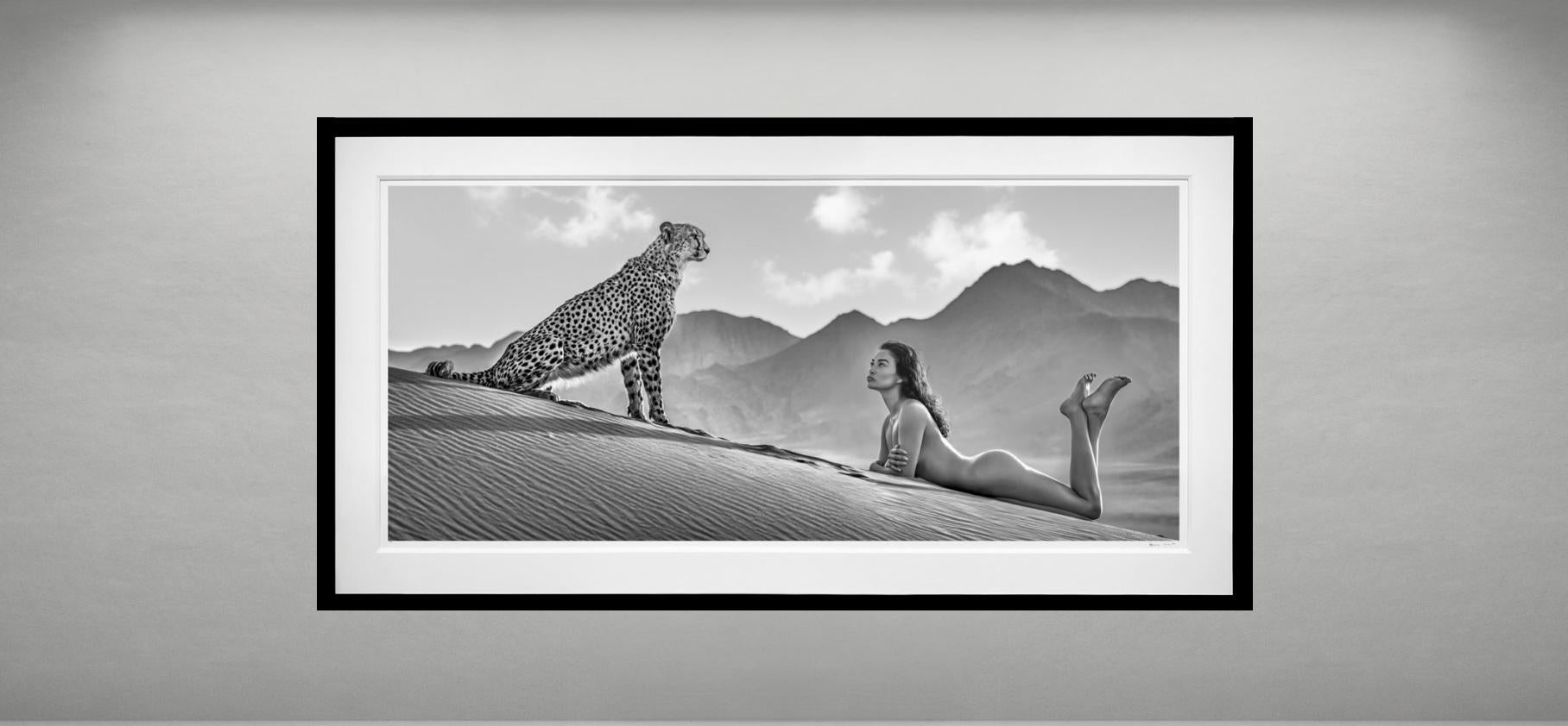 Duna en blanco y negro, Namibia por David Yarrow - Fotografía contemporánea de fauna salvaje - Guepardo en venta 1