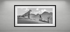 Dune B&W, Namibia von David Yarrow - Contemporary Wildlife Photography - Gepard