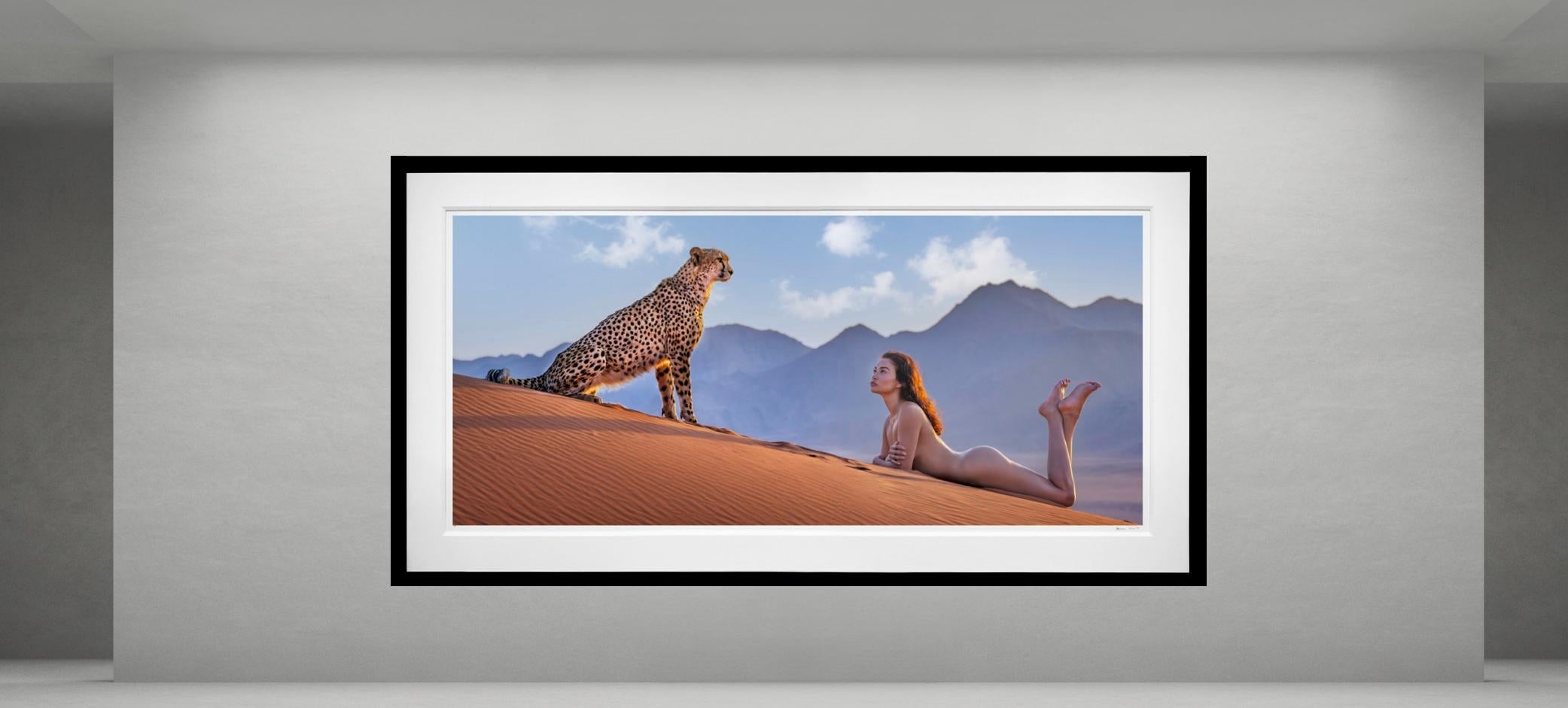 Dune Colour, Namibia von David Yarrow – Wildtierfotografie – Cheetah im Angebot 1