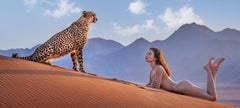 Dune Colour, Namibia by David Yarrow - Wildlife Photography - Cheetah