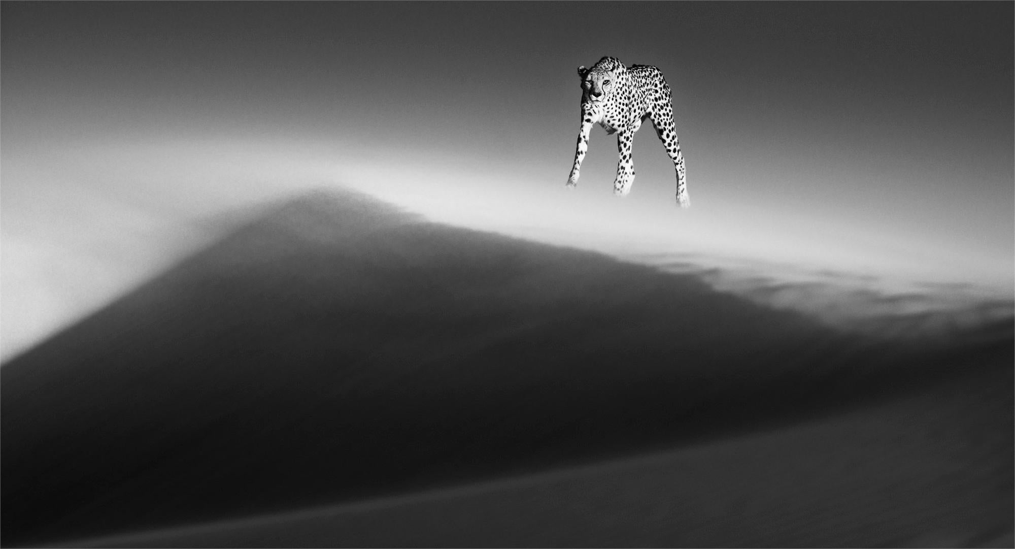 Ätherische Düne
Namib-Wüste, Namibia (2013)

Gerahmt Größe: 27,75 x 40 Zoll.
Auflage: AP

Bio:
David Yarrow hat sich einen unübertroffenen Ruf erworben, wenn es darum geht, die Schönheit der entlegenen Landschaften, Kulturen und bedrohten Tiere