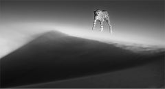 RARE~Ethereal Dune, Namibia by David Yarrow - Contemporary Wildlife Photography
