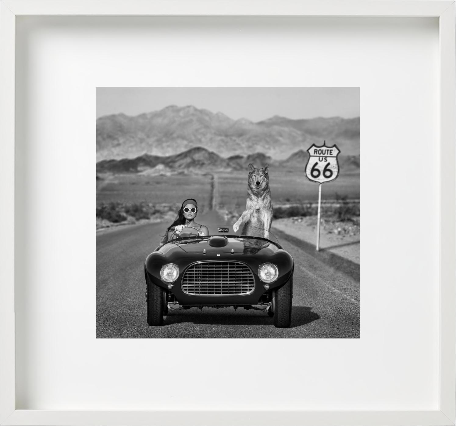 „Ferrari II“ – Modell und Wolf in Ferrari auf der Route 66, Kunstfotografie, 2023 – Photograph von David Yarrow
