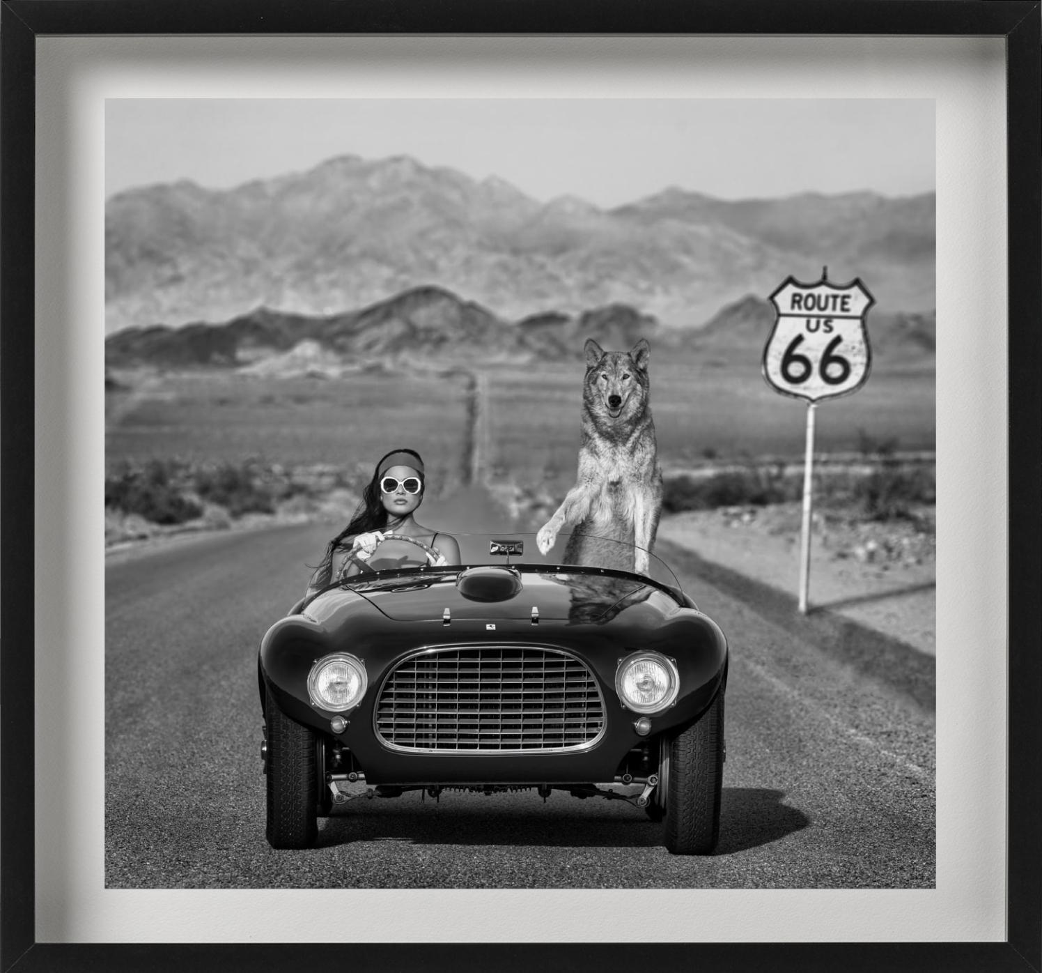 „Ferrari II“ – Modell und Wolf in Ferrari auf der Route 66, Kunstfotografie, 2023 im Angebot 1