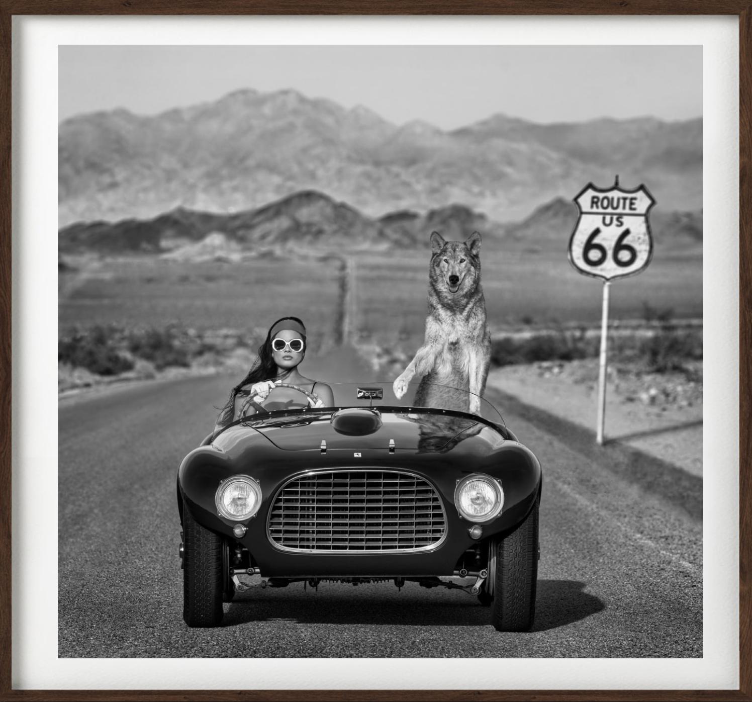 „Ferrari II“ – Modell und Wolf in Ferrari auf der Route 66, Kunstfotografie, 2023 im Angebot 3