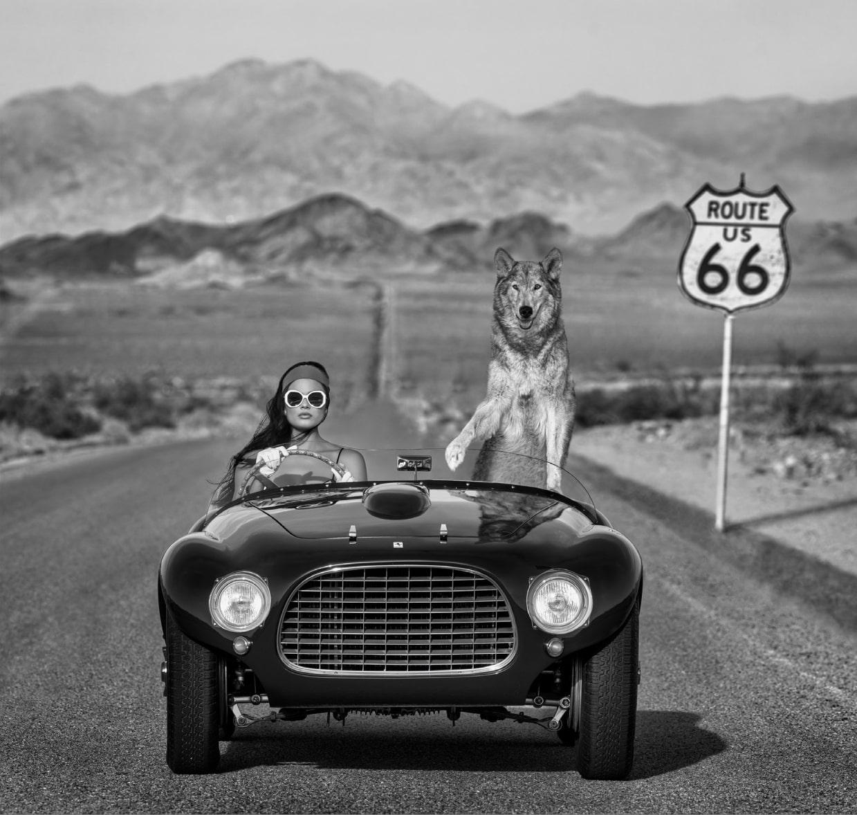 David Yarrow Black and White Photograph - 'Ferrari II' - Model and wolf in Ferrari on Route 66, fine art photography, 2023