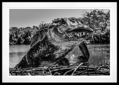 Florida (B&W) by David Yarrow - New Release - Alligator - Wildlife Photography
