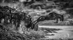 Digital Black and White Photography