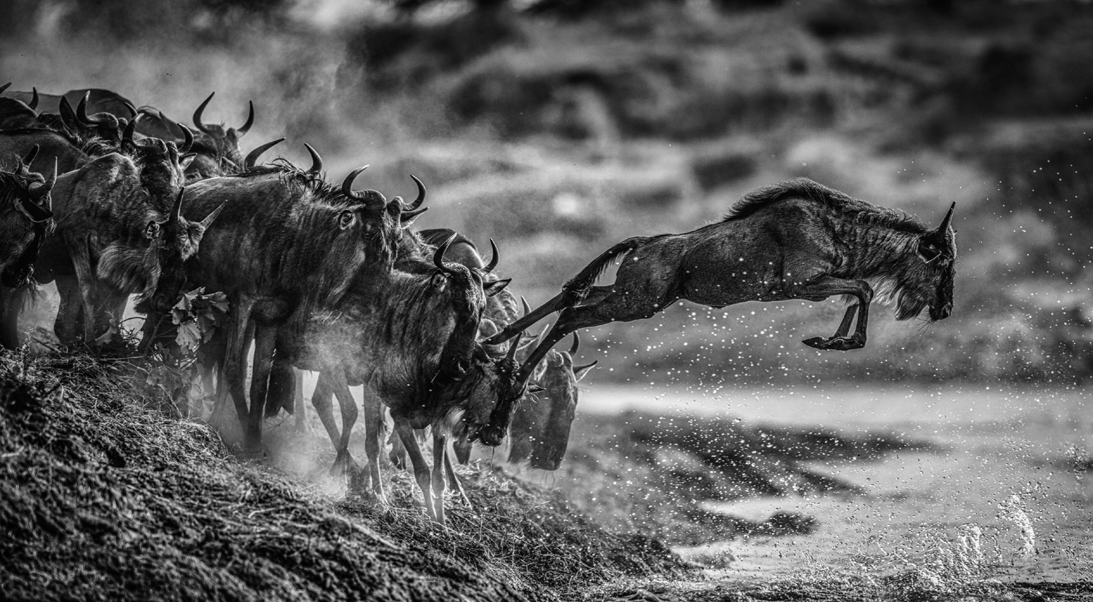 David Yarrow Family For Sale at 1stDibs