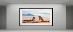 For Your Eyes Only (Colour), Namibia par David Yarrow - Cara Delevingne - Cheetah