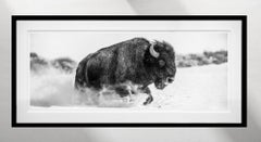 Frozen Mountain by David Yarrow - Buffalo - Montana - Ready to Ship