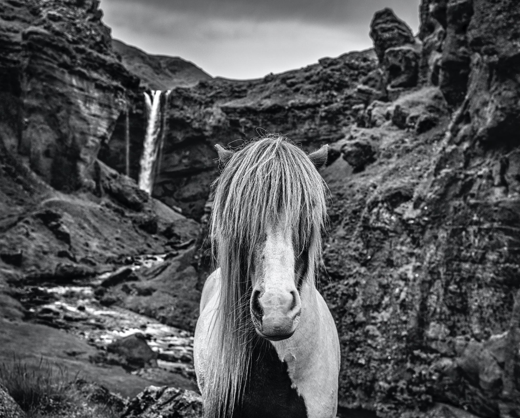 Black and White Photograph de David Yarrow - Juego de Tronos