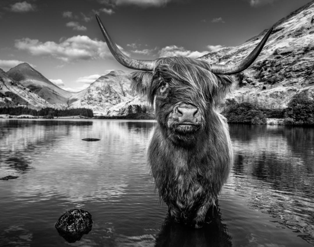 David Yarrow Black and White Photograph - Glen Etive