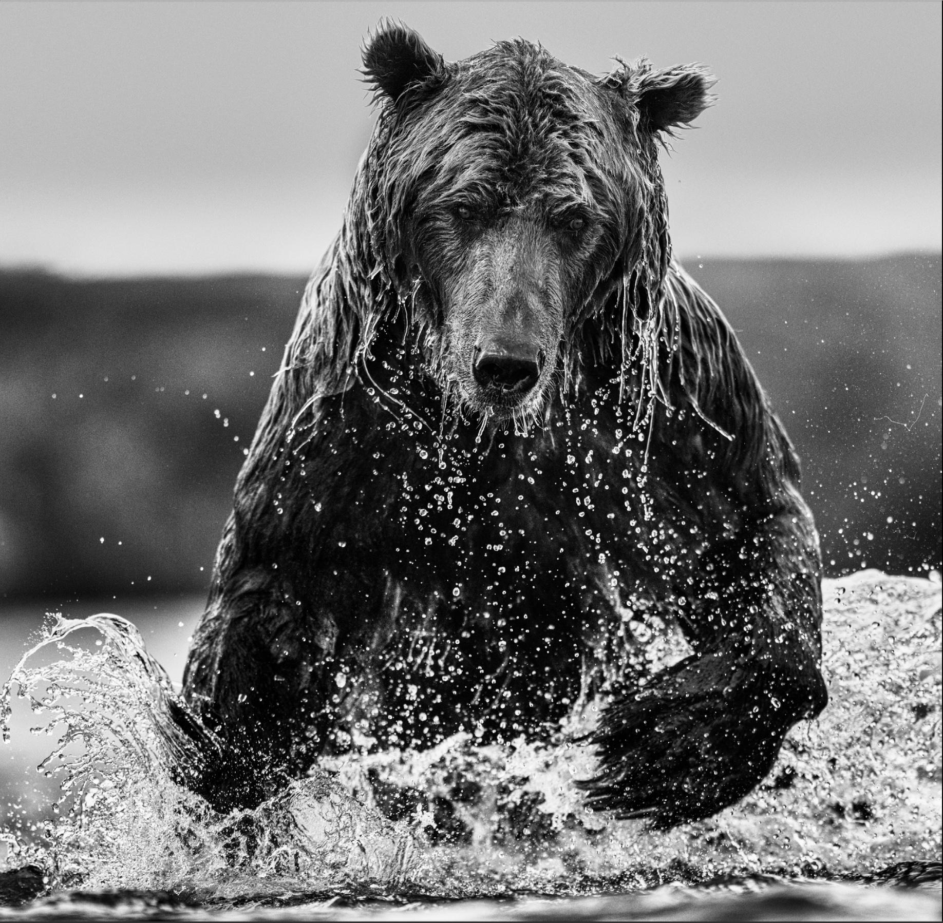 Gone Fishing (B&W) par David Yarrow - Nouvelle publication