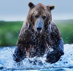 Gone Fishing (Farbe) von David Yarrow - Neuerscheinung