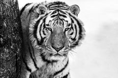 Good Morning Siberia, Archival Pigment Print, 2018, ed. 12 + 3 AP, 132 x 178 cm