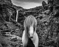 Got, Kvernufoss, Iceland by David Yarrow - Contemporary Wildlife Photography