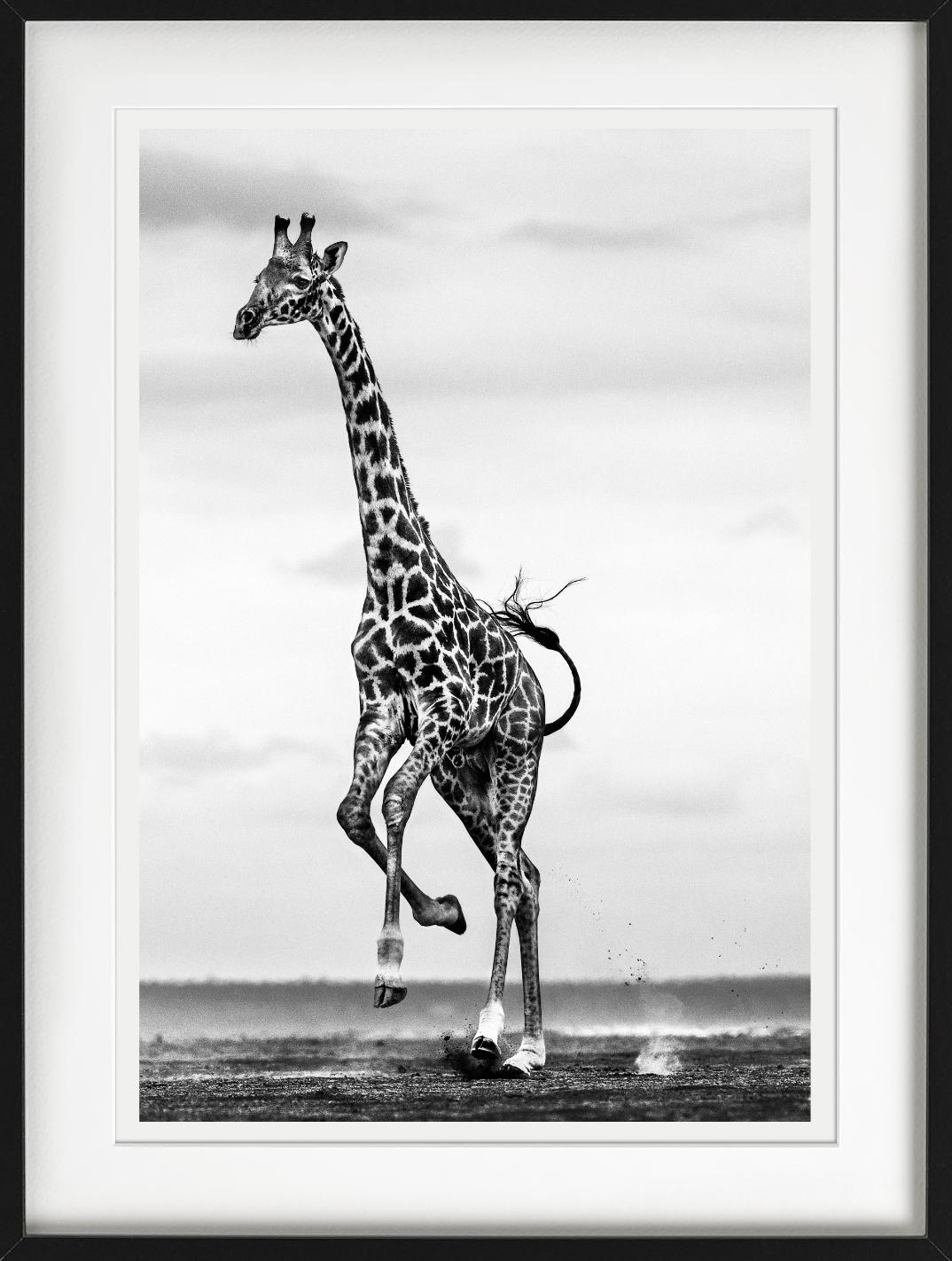 Hoof It - Galloping Giraffe, Fine Art Photography, 2014 For Sale 7