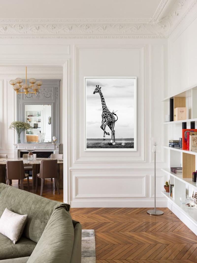Hoof It - Galloping Giraffe, Fine Art Photography, 2014 For Sale 3