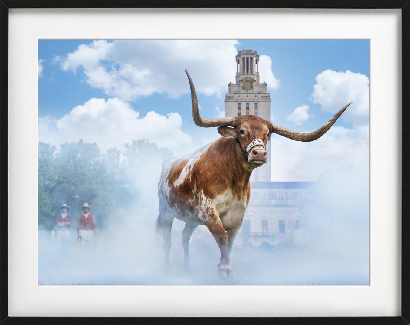 Hook em Horns, Fotografía artística en venta 1