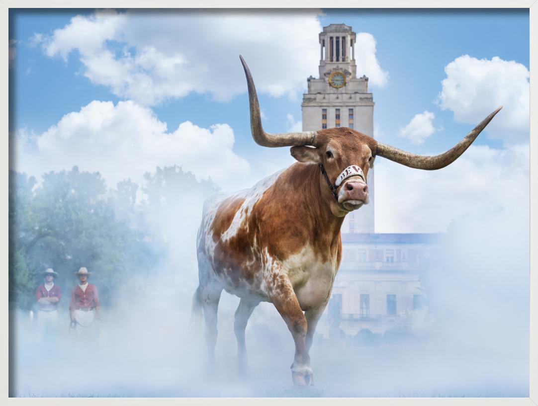 Hook em Horns, Fotografía artística en venta 3