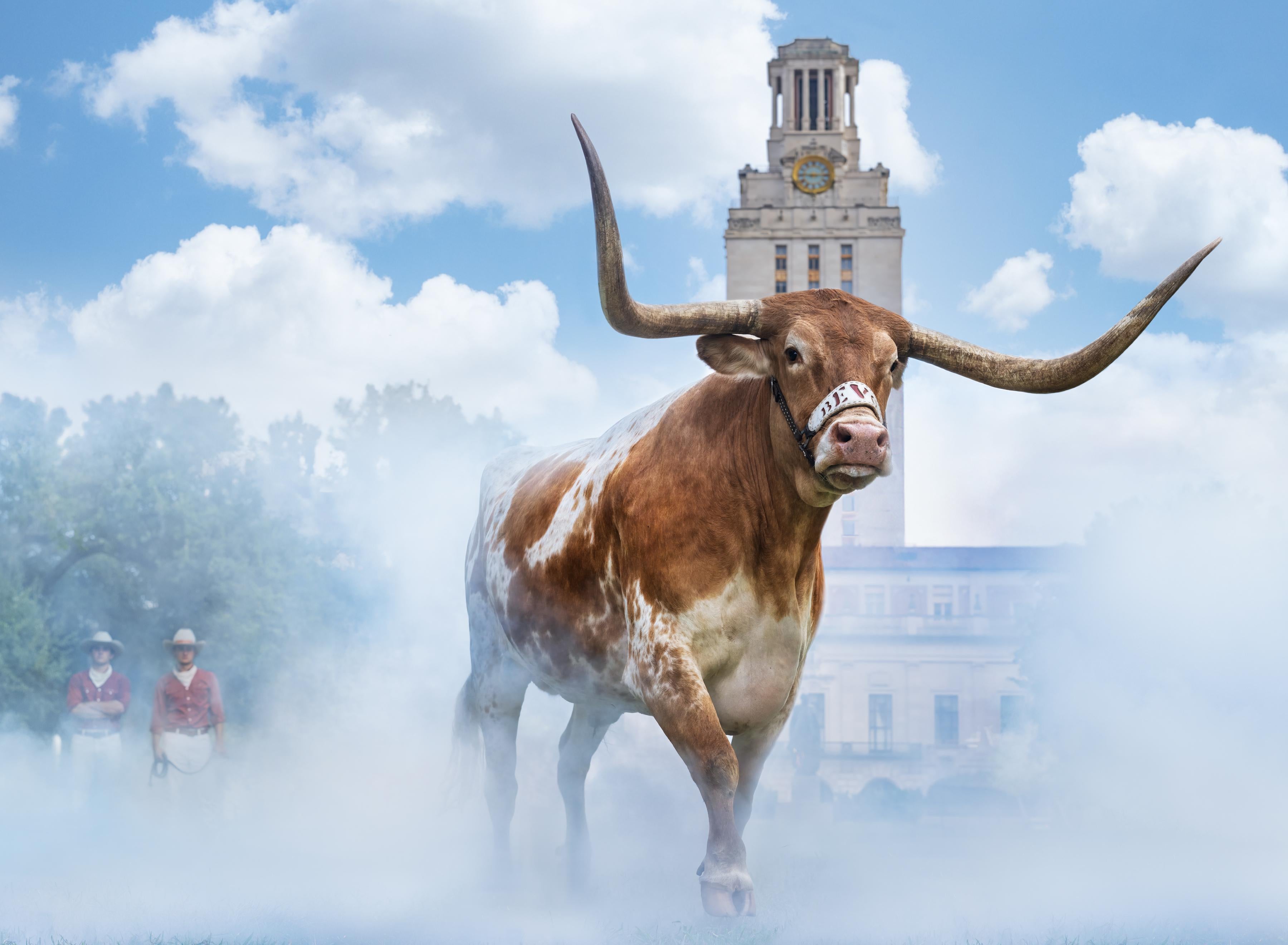 Color Photograph de David Yarrow - Hook em Horns, Fotografía artística