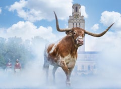 Hooke 'em Horns, Archival Pigment Print, Contemporary, Signed, Fine Art Print