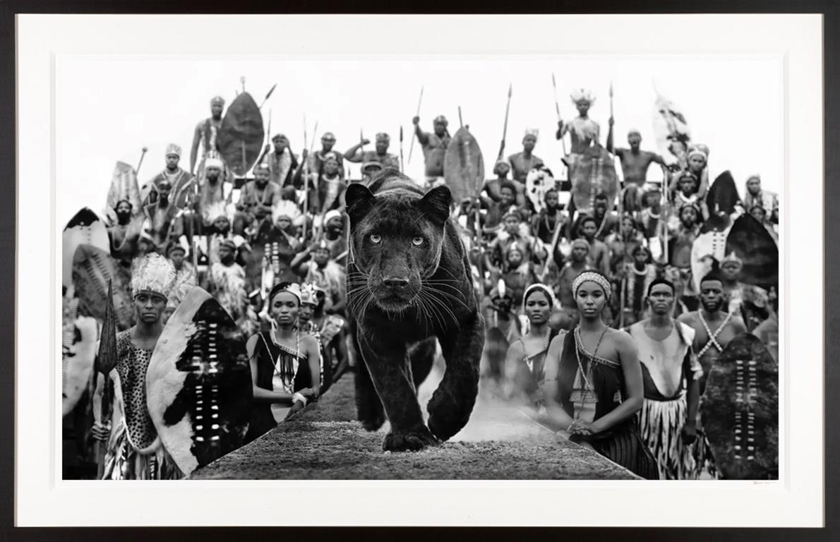 David Yarrow Black and White Photograph - I Am Black Panther / Dinokeng, South Africa 