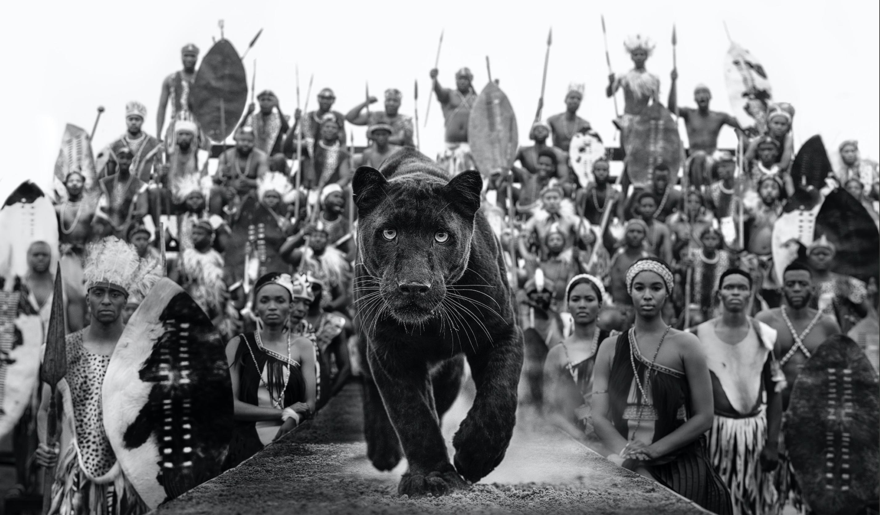David Yarrow Black and White Photograph - I am Black Panther