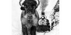 I Walk the Line, Durango, CO by David Yarrow - Contemporary Photography