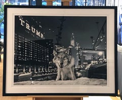 It Is Only a Matter of Time