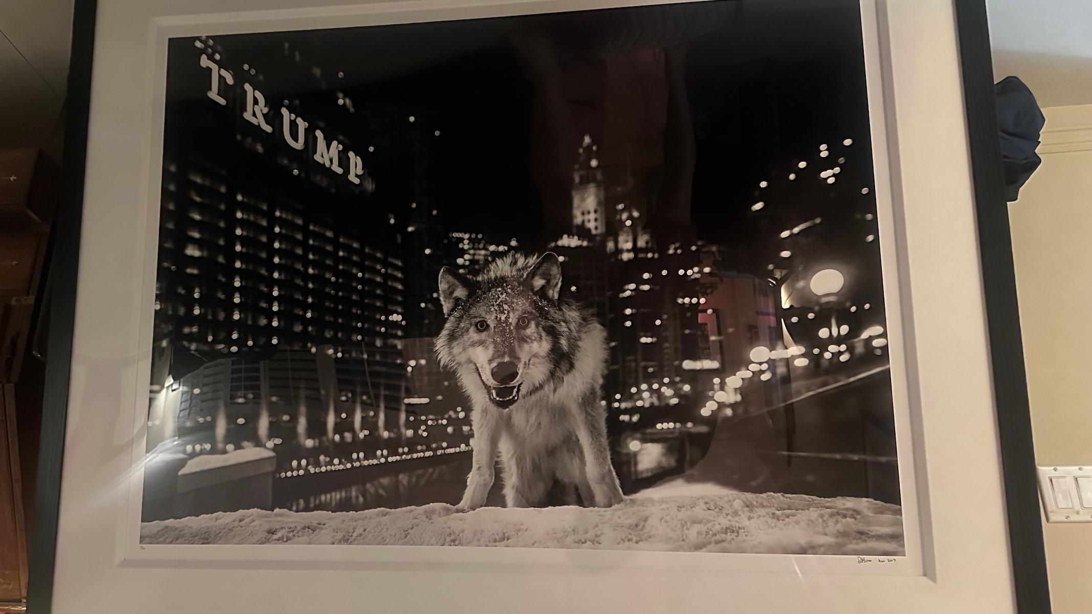 Ce n'est qu'une question de temps - Photograph de David Yarrow