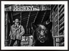 It Was The Whiskey Talking / Black and White Photo with Wolf in Montana 
