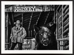 It Was The Whiskey Talking / Black and White Photo with Wolf in Montana