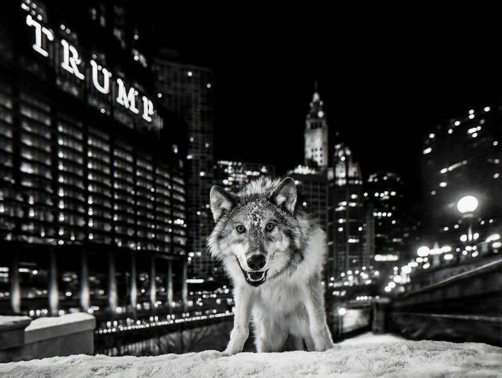 David Yarrow Black and White Photograph - It's Only A Matter of Time