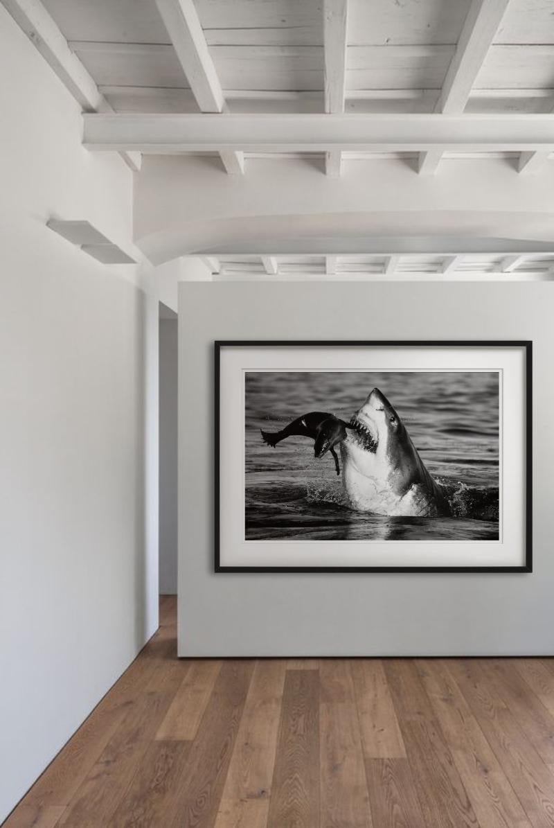 Jaws, Kunstfotografie – Photograph von David Yarrow