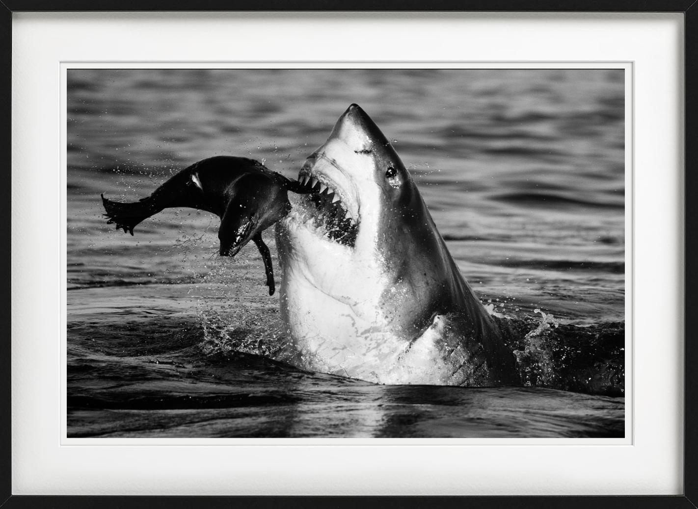 Jaws, Kunstfotografie (Zeitgenössisch), Photograph, von David Yarrow