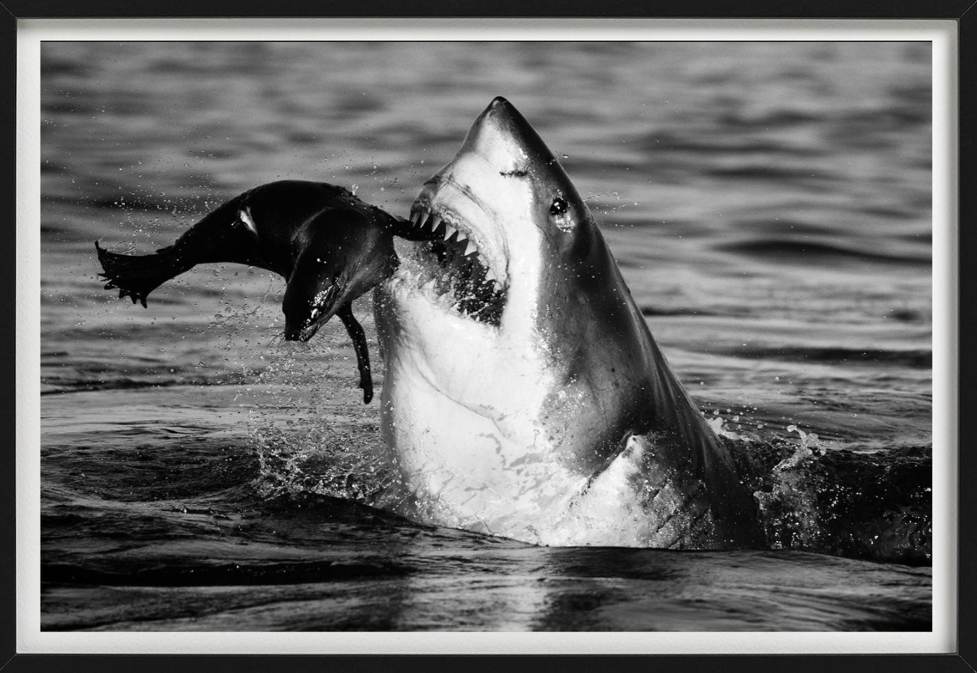 Jaws, Kunstfotografie (Grau), Figurative Photograph, von David Yarrow