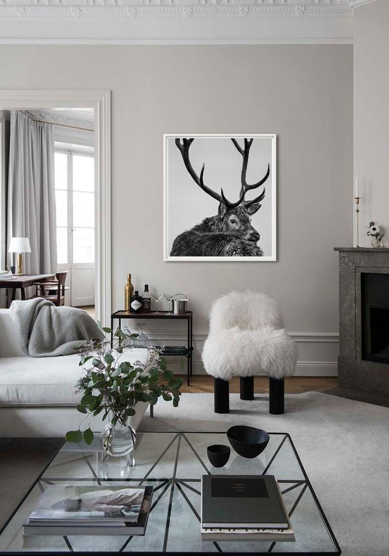 Jura – Porträt eines Hirsches mit Geweih, Kunstfotografie im Angebot 1