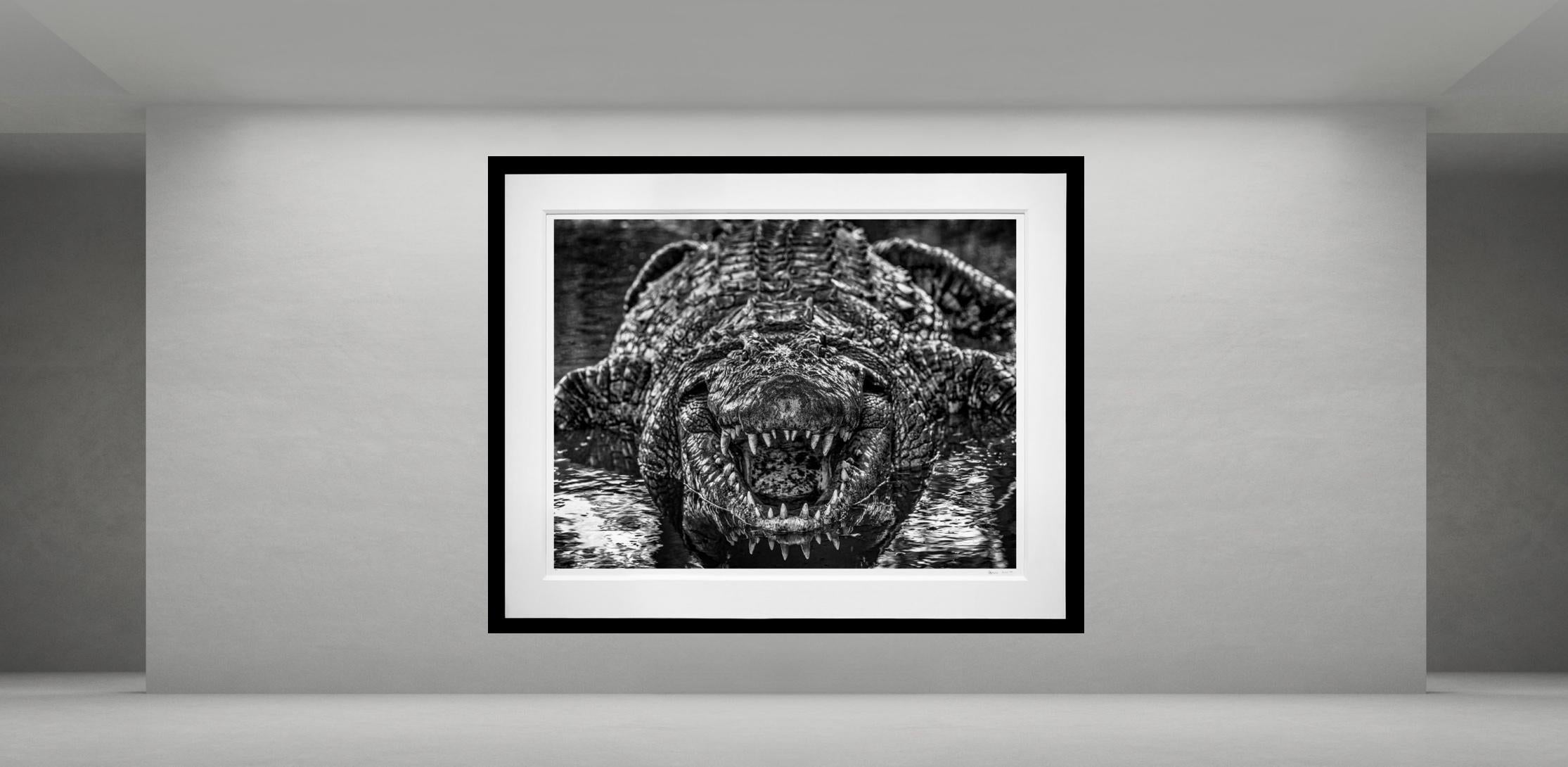Jurassic Park, Afrique du Sud par David Yarrow - Photographie contemporaine de la vie sauvage en vente 1