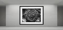 Jurassic Park, South Africa by David Yarrow - Contemporary Wildlife Photography