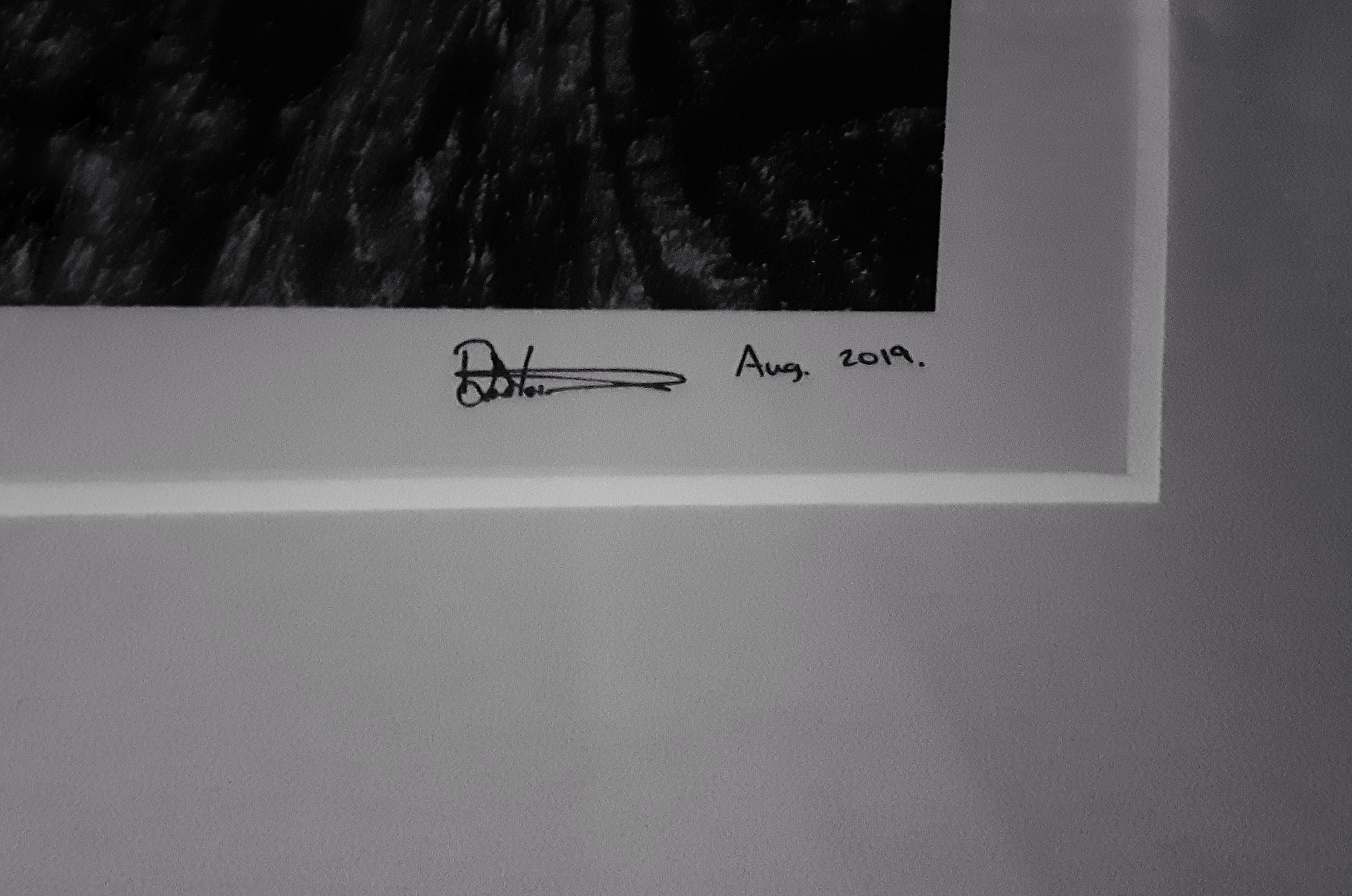 Borana, Kenya et Afrique du Sud, 2019

Impression pigmentaire d'archives sur papier baryté Hahnemühle Photo Rag 315 g/m² 
Chacun est signé, daté et numéroté au recto. 
Taille de l'édition : 20

Tailles disponibles :

48 x 67 pouces
67 x 96